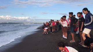 Lestarikan Tukik di Pantai Lembing